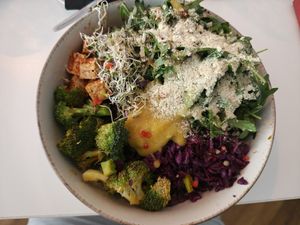  at Vegasmo in Brasov