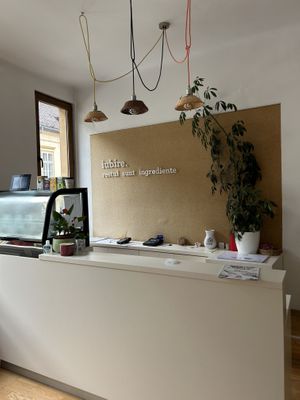   at Vegasmo in Brasov