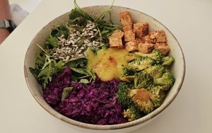  at Vegasmo in Brasov