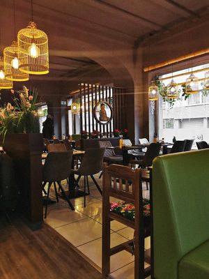  at vegan 365 Restaurant in Cologne