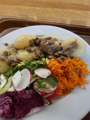 Potato dumplings with mushroom sauce and a salad at Vega in Wroclaw