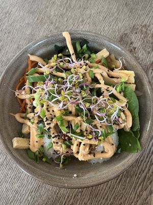 Bibimbab  at Vega in Wroclaw