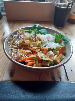 Tofu teriyaki, really pleasant and flavourful at Vega in Wroclaw