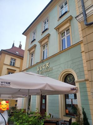 Pretty exterior 💚 at Vega in Wroclaw