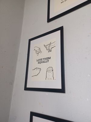 💚 at Vega in Wroclaw