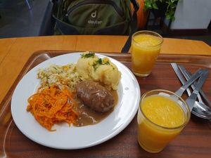 Barley porridge roulade, Mashed potatoes and salad and fresh orange juice at Vega in Wroclaw
