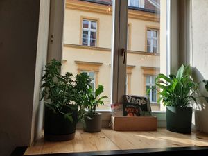 Interior with plants at Vega in Wroclaw