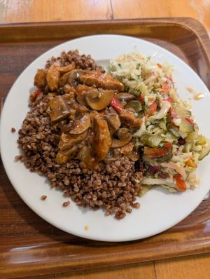 Stroganoff at Vega in Wroclaw