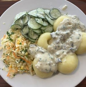 Dumplings with a mushroom sauce and a saladd  at Vega in Wroclaw
