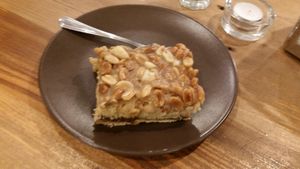 Snickers at Vega in Wroclaw