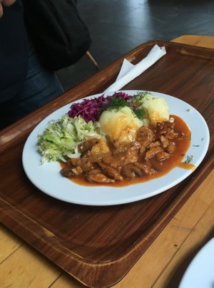 Stroganoff, mashed potatoes, salad at Vega in Wroclaw