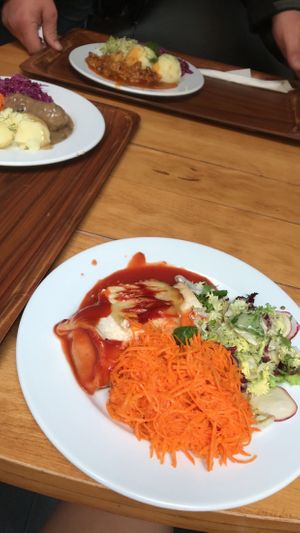 Set with enchilada served with salads at Vega in Wroclaw