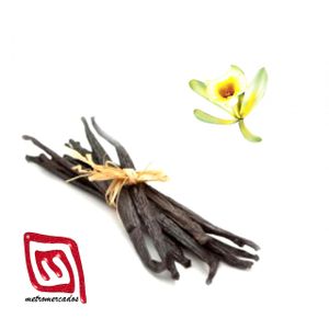 ORGANIC RAW VANILLA / VAINILLA CRUDA EN VAINA at Metromercados in Heredia
