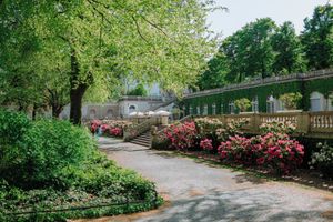  at Orangerie Neukölln in Berlin