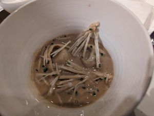  at Studio Gauthier in London