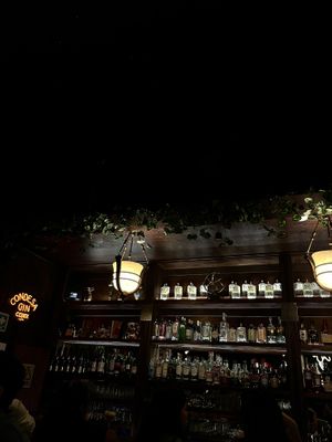   at Dodo Café in Queretaro