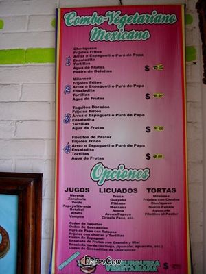 Mexican entres with options at Govinda's in Morelia