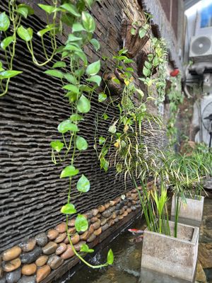   at Nhiên's Kitchen in Ho Chi Minh City