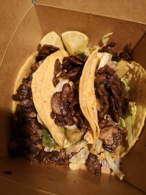  at Plant Punk in Zagreb