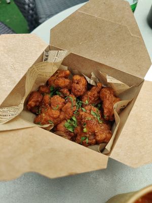  at Plant Punk in Zagreb