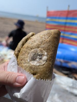  at Bumble and Bee in Exmouth