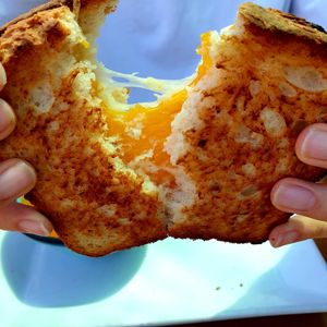  at Zest Kitchen & Bar in Salt Lake City