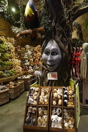  at Disneyland - Rainforest Cafe    in Chessy