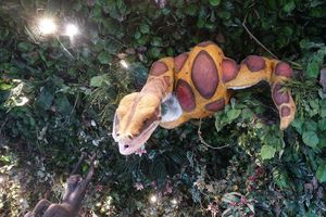  at Disneyland - Rainforest Cafe    in Chessy