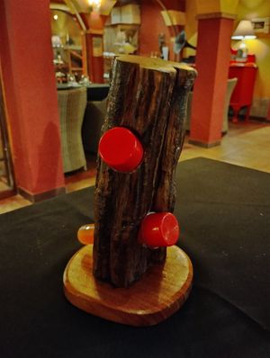  at Matchia Sushi in Puerto Iguazu