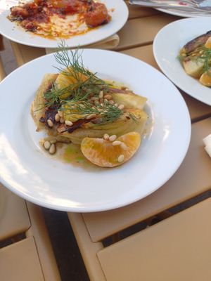 August 2025: Fenchel at June in Halle