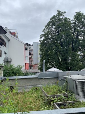   at Café Momo in Innsbruck