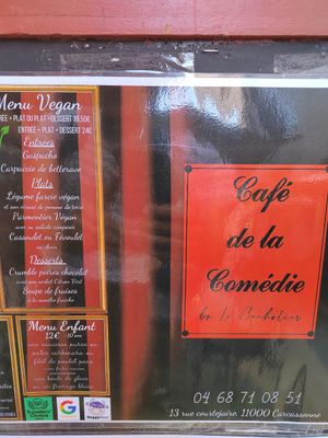 menu vegan at le Café de la Comédie in Carcassonne
