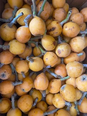  at Sąžiningas ūkis - Benedikto turguje - Maybe closed in Vilnius