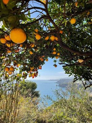  at Sąžiningas ūkis - Benedikto turguje - Maybe closed in Vilnius