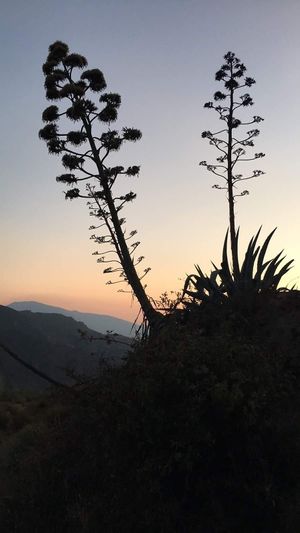  at Sąžiningas ūkis - Benedikto turguje - Maybe closed in Vilnius