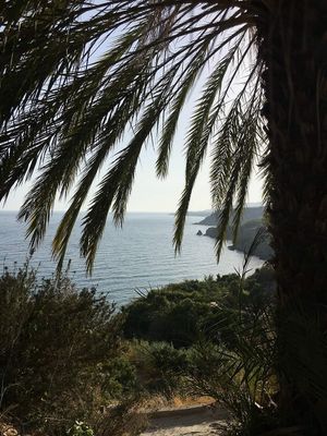  at Sąžiningas ūkis - Benedikto turguje - Maybe closed in Vilnius