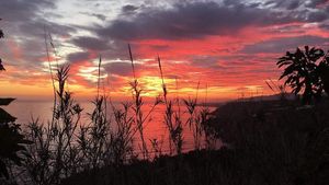  at Sąžiningas ūkis - Benedikto turguje - Maybe closed in Vilnius