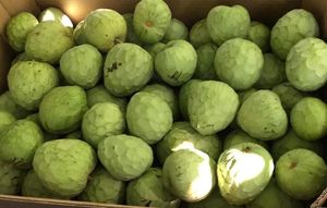  at Sąžiningas ūkis - Benedikto turguje - Maybe closed in Vilnius