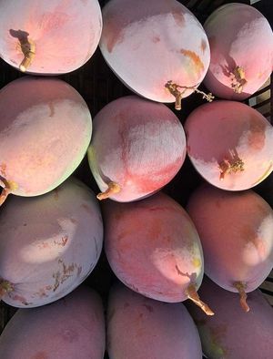  at Sąžiningas ūkis - Benedikto turguje - Maybe closed in Vilnius