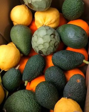  at Sąžiningas ūkis - Benedikto turguje - Maybe closed in Vilnius