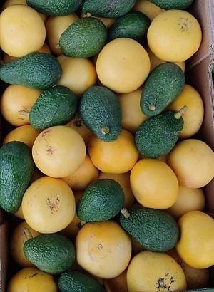  at Sąžiningas ūkis - Benedikto turguje - Maybe closed in Vilnius