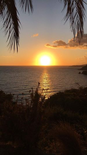  at Sąžiningas ūkis - Benedikto turguje - Maybe closed in Vilnius