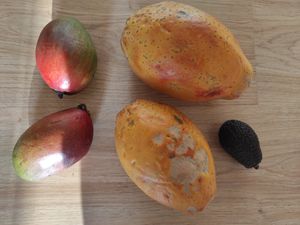 Beautiful fruits I got from Sąžiningas ūkis. at Sąžiningas ūkis - Benedikto turguje - Maybe closed in Vilnius