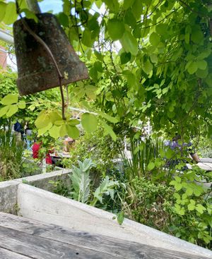   at Botanical Bar in Bologna