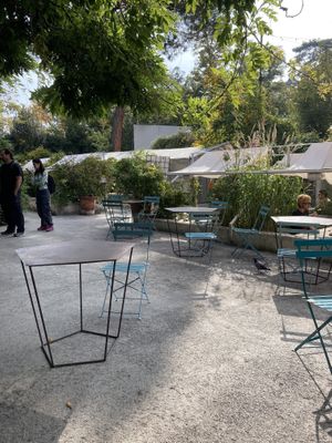   at Botanical Bar in Bologna