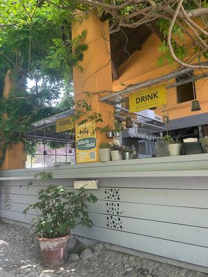 bancone at Botanical Bar in Bologna