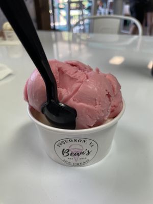 Raspberry sorbet (on top), lemon raspberry under. Wow! Shockingly good sorbet  at Bean's Ice Cream in Poquoson