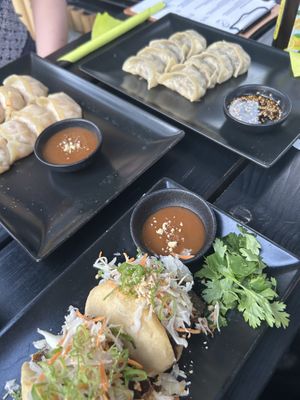   at Dumplinghouse in Kassel