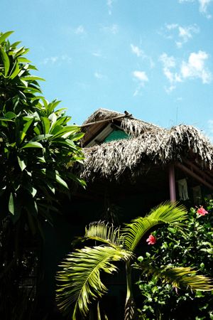  at YESH! Tribe in Hoi An