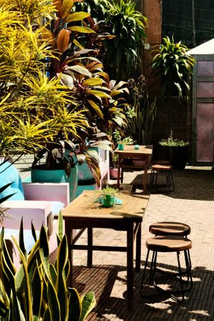  at YESH! Tribe in Hoi An